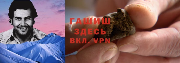 тгк Абаза