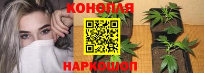 гашик Севастополь