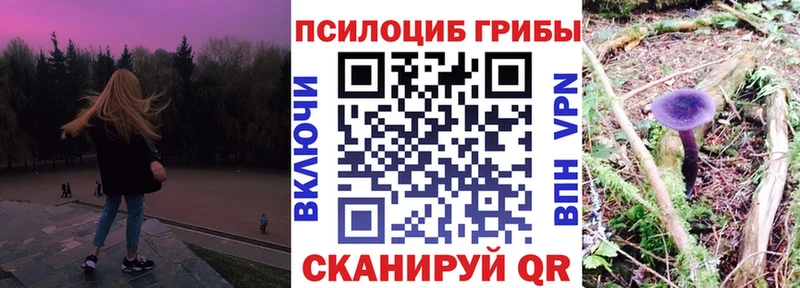 Псилоцибиновые грибы Cubensis  наркота  Уварово 