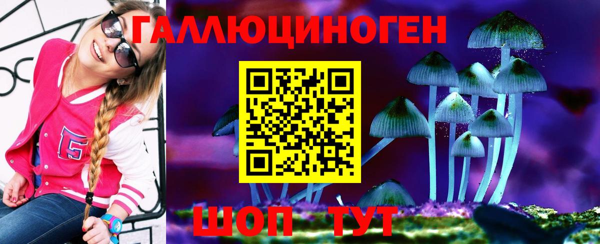 Псилоцибиновые грибы прущие грибы  Псилоцибиновые грибы мицелий  хочу наркоту  Уварово  Вход с VPN 